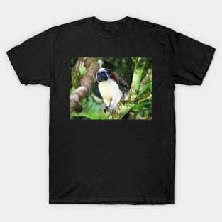 White Chested Monkey Perching in Tree T-Shirt